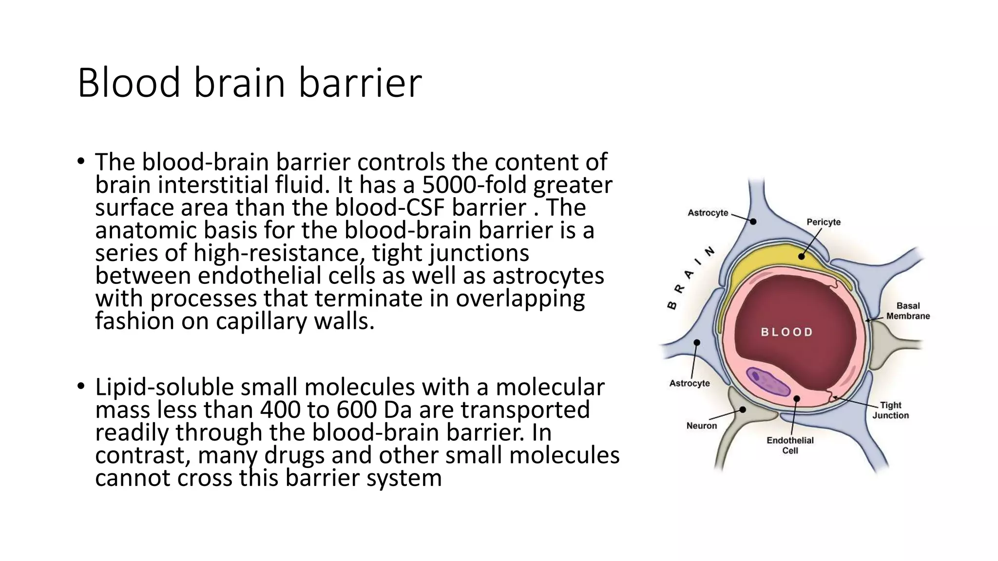 Blood brain barrier
• The blood-brain barrier controls the content of
brain interstitial fluid. It has a 5000-fold greater
surface area than the blood-CSF barrier . The
anatomic basis for the blood-brain barrier is a
series of high-resistance, tight junctions
between endothelial cells as well as astrocytes
with processes that terminate in overlapping
fashion on capillary walls.
• Lipid-soluble small molecules with a molecular
mass less than 400 to 600 Da are transported
readily through the blood-brain barrier. In
contrast, many drugs and other small molecules
cannot cross this barrier system
 
