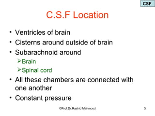 Cerebrospinal Fluid | PPT