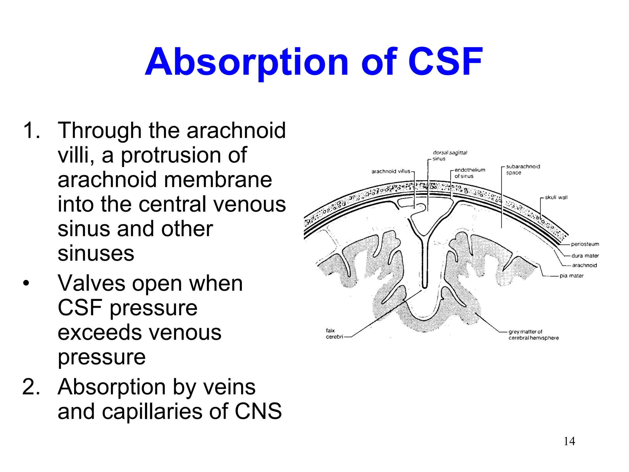 Cerebrospinal Fluid Blood Brain Barrier.ppt