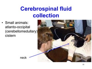 Cerebrospinal Fluid Blood Brain Barrier.ppt