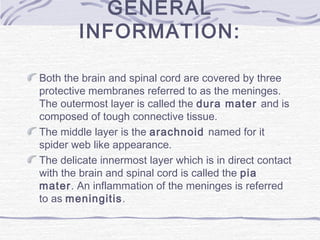 GENERAL
INFORMATION:
Both the brain and spinal cord are covered by three
protective membranes referred to as the meninges.
The outermost layer is called the dura mater and is
composed of tough connective tissue.
The middle layer is the arachnoid named for it
spider web like appearance.
The delicate innermost layer which is in direct contact
with the brain and spinal cord is called the pia
mater. An inflammation of the meninges is referred
to as meningitis.
 