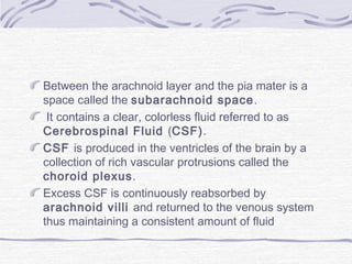 Between the arachnoid layer and the pia mater is a
space called the subarachnoid space.
It contains a clear, colorless fluid referred to as
Cerebrospinal Fluid (CSF).
CSF is produced in the ventricles of the brain by a
collection of rich vascular protrusions called the
choroid plexus.
Excess CSF is continuously reabsorbed by
arachnoid villi and returned to the venous system
thus maintaining a consistent amount of fluid
 