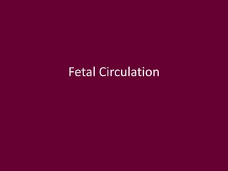 Fetal Circulation
 