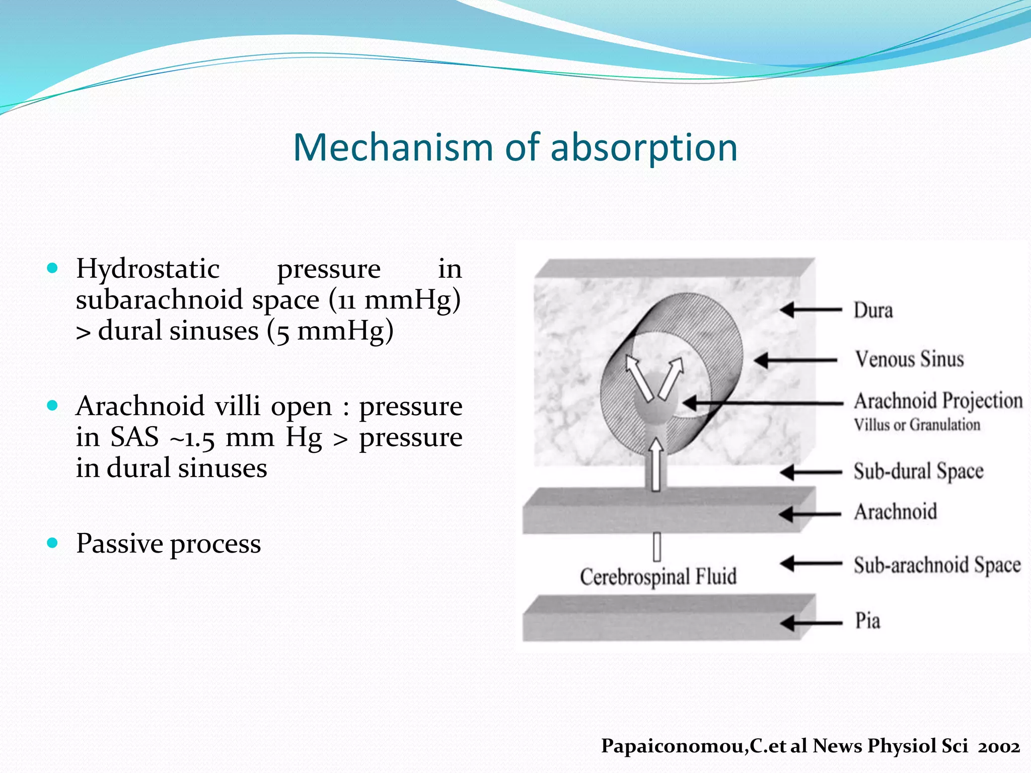 Mechanism of absorption
 Hydrostatic pressure in
subarachnoid space (11 mmHg)
> dural sinuses (5 mmHg)
 Arachnoid villi open : pressure
in SAS ~1.5 mm Hg > pressure
in dural sinuses
 Passive process
Papaiconomou,C.et al News Physiol Sci 2002
 