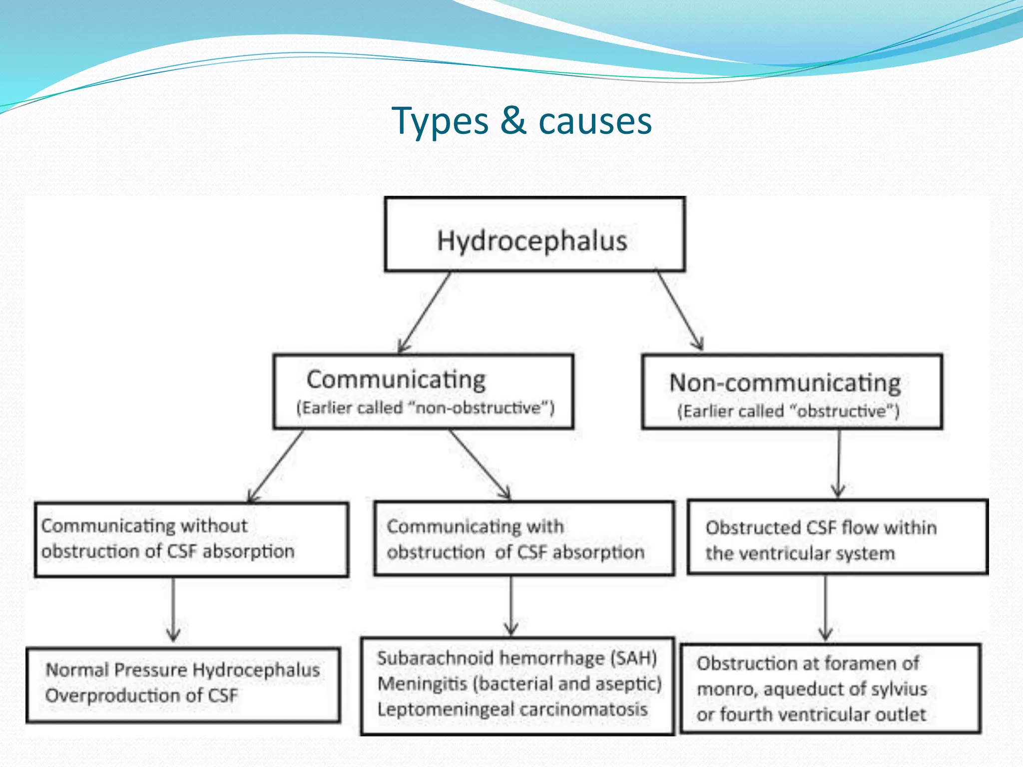 Types & causes
 