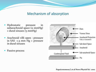 Mechanism of absorption
 Hydrostatic pressure in
subarachnoid space (11 mmHg)
> dural sinuses (5 mmHg)
 Arachnoid villi open : pressure
in SAS ~1.5 mm Hg > pressure
in dural sinuses
 Passive process
Papaiconomou,C.et al News Physiol Sci 2002
 