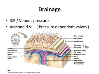 Drainage
• ICP / Venous pressure
• Arachnoid Villi ( Pressure dependent valves )
 