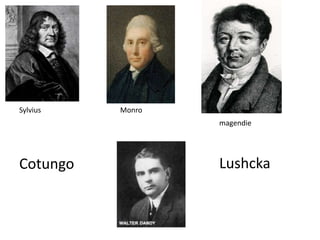 Sylvius Monro
magendie
Cotungo Lushcka
 