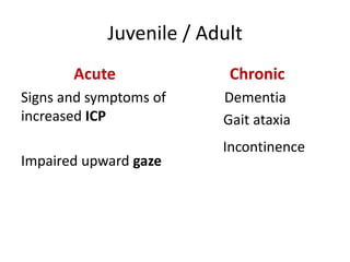 Juvenile / Adult
Acute
Signs and symptoms of
increased ICP
Impaired upward gaze
Chronic
Dementia
Gait ataxia
Incontinence
 