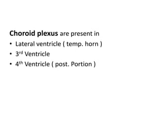 Choroid plexus are present in
• Lateral ventricle ( temp. horn )
• 3rd Ventricle
• 4th Ventricle ( post. Portion )
 