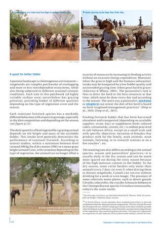 Pastoralism in dryland areas. A case study in sub-Saharan Africa | PDF