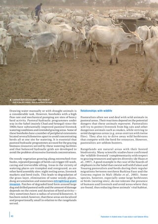 Pastoralism in dryland areas. A case study in sub-Saharan Africa | PDF