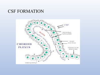 Blood brain barrier and csf hemodynamics | PPTX