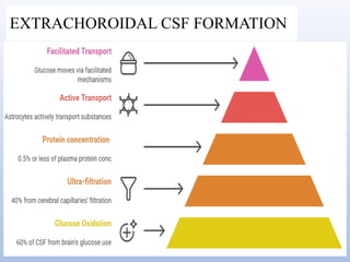 Blood brain barrier and csf hemodynamics | PPTX