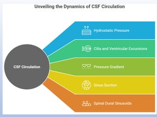 Blood brain barrier and csf hemodynamics | PPTX