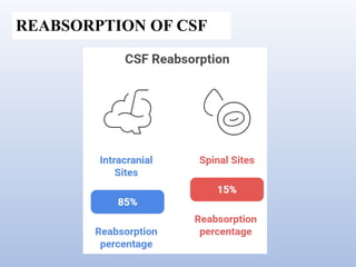 Blood brain barrier and csf hemodynamics | PPTX