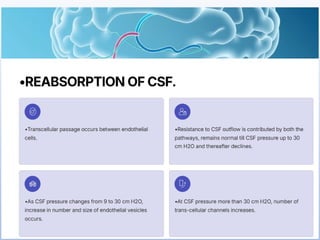 Blood brain barrier and csf hemodynamics | PPTX