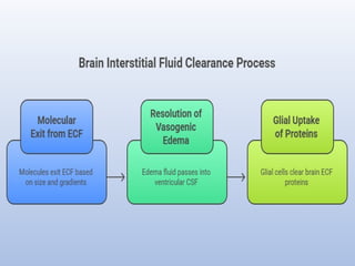 Blood brain barrier and csf hemodynamics | PPTX