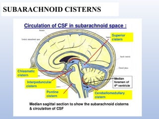 Blood brain barrier and csf hemodynamics | PPTX