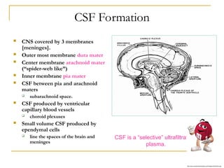 CSF [EDocFind.com].ppt............................... | PPT