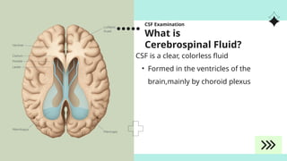 Comprehensive Guide to Cerebrospinal Fluid Examination and Analysis | PPTX