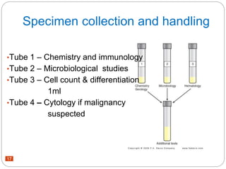 CSF EXAMINATION.pptx
