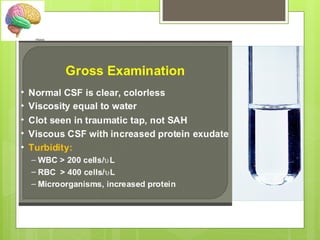 CSF EXAMINATION presentation for pathology | PPTX