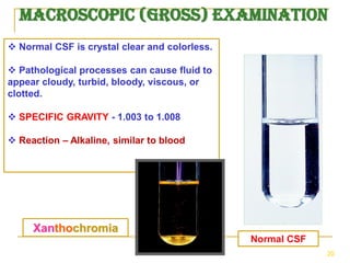 Cerebrospinal fluid examination VCP .pdf