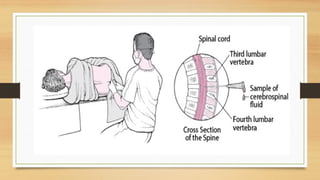 Lp Procedure Guide Comprehensive Guide to Lumbar Puncture: Procedure, Purpose, and Care | PPTX