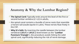 Lp Risks Nerve Comprehensive Guide to Lumbar Puncture: Procedure, Purpose, and Care | PPTX