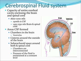Cerebrospinal Fluid system
 Capacity of entire cerebral
cavity enclosing the brain
and spinal cord
 1600-1700 mls
 150mls is CSF
 1450-1550 mls Brain & spinal
cord
 Areas CSF formed
 Chambers in the brain
 Ventricles
 Cisterns around the outside
of the brain
 Subarachnoid space around
both & spinal cord
 Chambers are
interconnected
 Pressure of the fluid is
maintained at a constant
level
 
