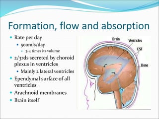Formation, flow and absorption
 Rate per day
 500mls/day
 3-4 times its volume
 2/3rds secreted by choroid
plexus in ventricles
 Mainly 2 lateral ventricles
 Ependymal surface of all
ventricles
 Arachnoid membranes
 Brain itself
 