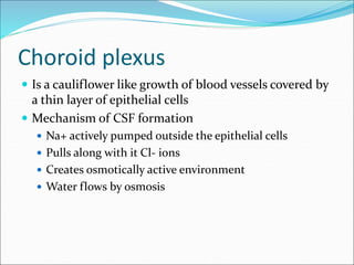 Choroid plexus
 Is a cauliflower like growth of blood vessels covered by
a thin layer of epithelial cells
 Mechanism of CSF formation
 Na+ actively pumped outside the epithelial cells
 Pulls along with it Cl- ions
 Creates osmotically active environment
 Water flows by osmosis
 