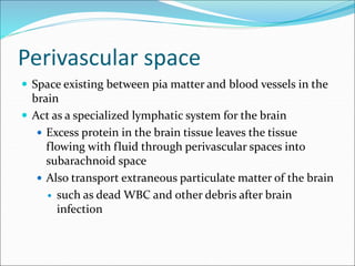 Perivascular space
 Space existing between pia matter and blood vessels in the
brain
 Act as a specialized lymphatic system for the brain
 Excess protein in the brain tissue leaves the tissue
flowing with fluid through perivascular spaces into
subarachnoid space
 Also transport extraneous particulate matter of the brain
 such as dead WBC and other debris after brain
infection
 