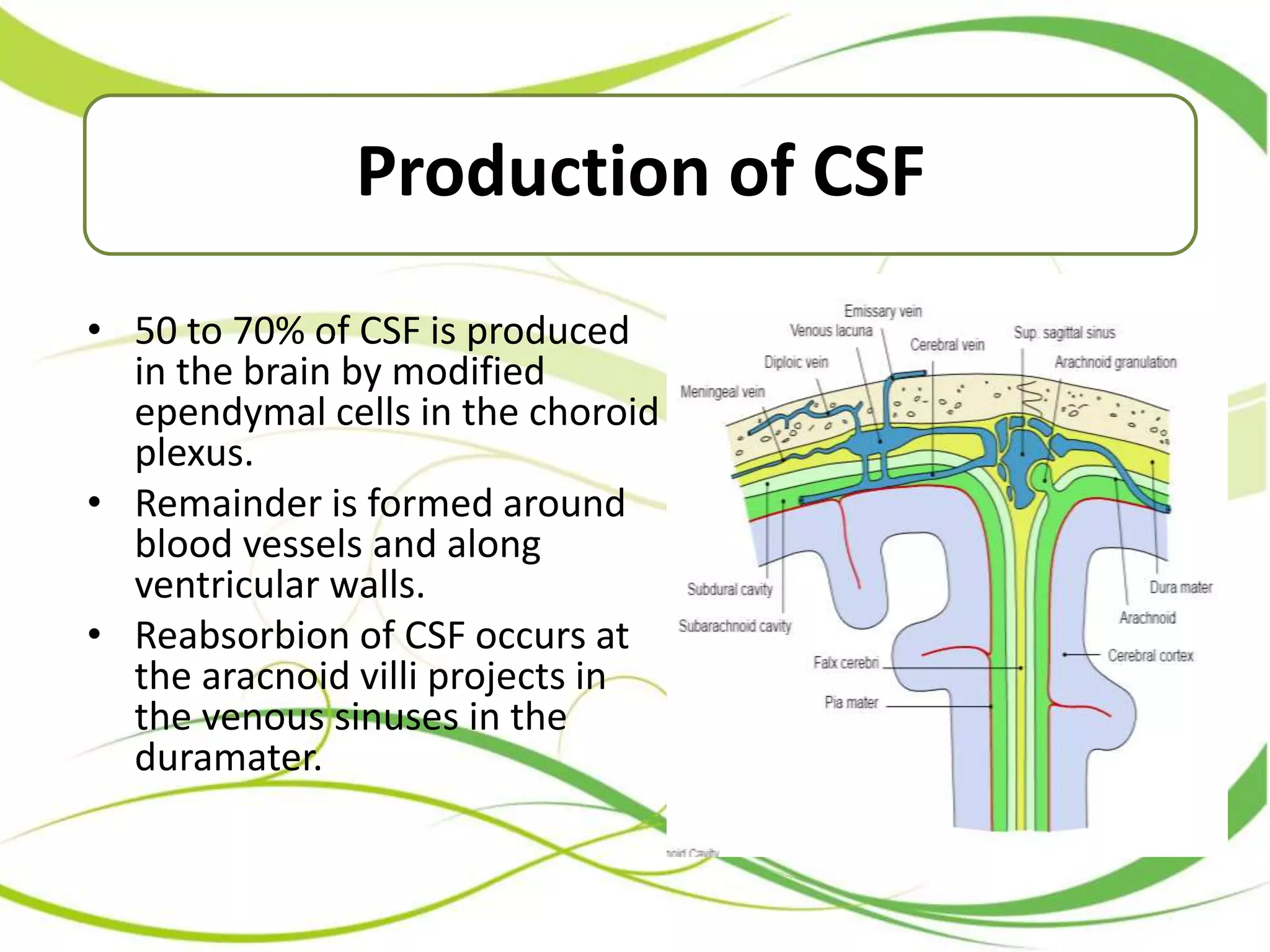 Csf flow study | PPTX