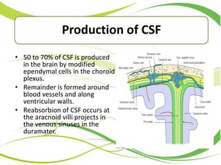 • 50 to 70% of CSF is produced
in the brain by modified
ependymal cells in the choroid
plexus.
• Remainder is formed around
blood vessels and along
ventricular walls.
• Reabsorbion of CSF occurs at
the aracnoid villi projects in
the venous sinuses in the
duramater.
Production of CSF
 