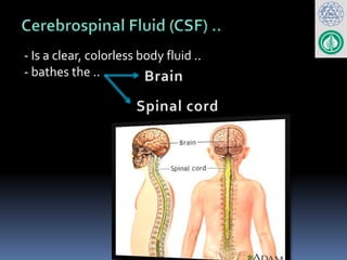 CSF FOR all.pptx