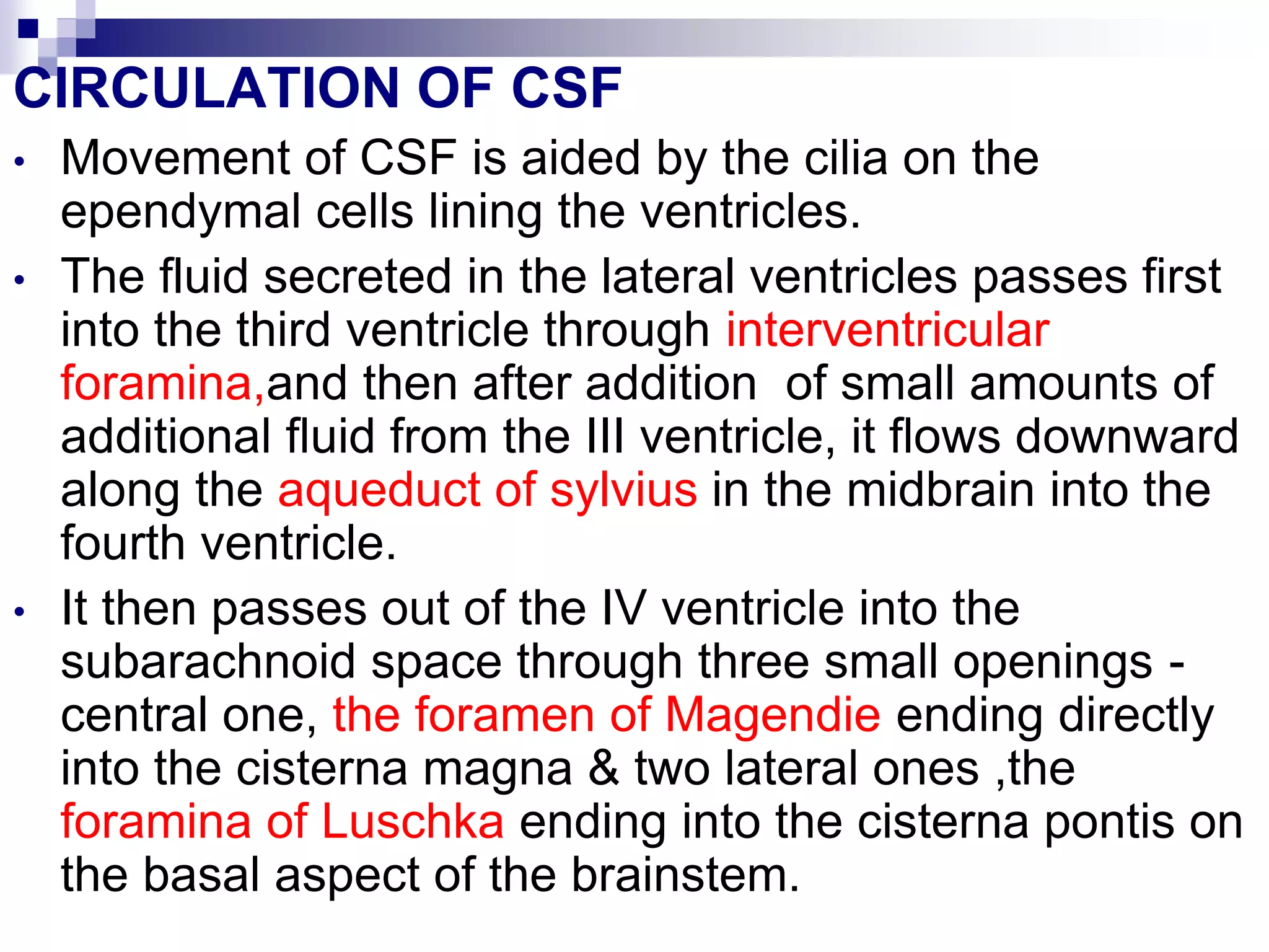 CIRCULATION OF CSF
• Movement of CSF is aided by the cilia on the
ependymal cells lining the ventricles.
• The fluid secreted in the lateral ventricles passes first
into the third ventricle through interventricular
foramina,and then after addition of small amounts of
additional fluid from the III ventricle, it flows downward
along the aqueduct of sylvius in the midbrain into the
fourth ventricle.
• It then passes out of the IV ventricle into the
subarachnoid space through three small openings -
central one, the foramen of Magendie ending directly
into the cisterna magna & two lateral ones ,the
foramina of Luschka ending into the cisterna pontis on
the basal aspect of the brainstem.
 
