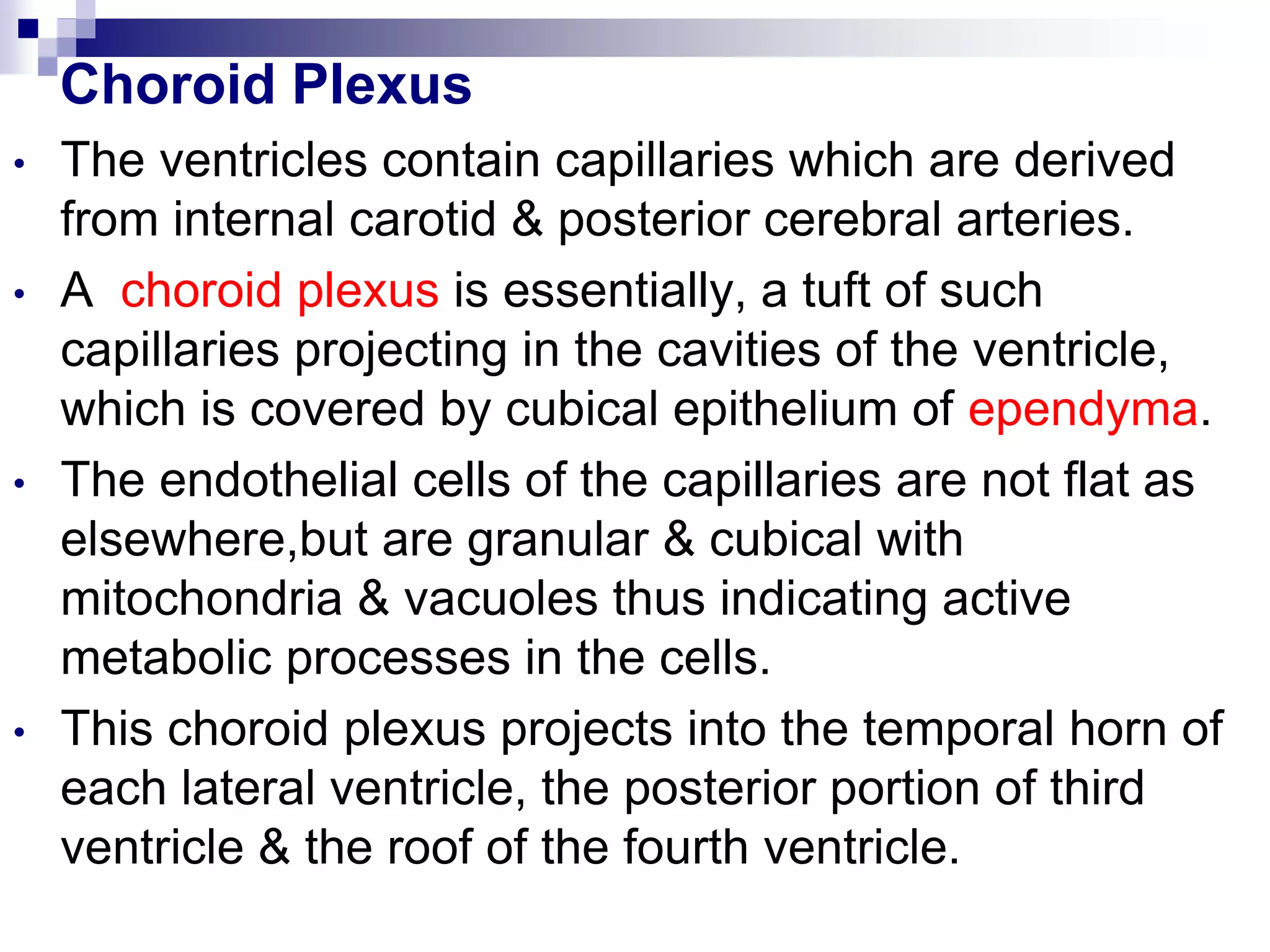 Choroid Plexus
• The ventricles contain capillaries which are derived
from internal carotid & posterior cerebral arteries.
• A choroid plexus is essentially, a tuft of such
capillaries projecting in the cavities of the ventricle,
which is covered by cubical epithelium of ependyma.
• The endothelial cells of the capillaries are not flat as
elsewhere,but are granular & cubical with
mitochondria & vacuoles thus indicating active
metabolic processes in the cells.
• This choroid plexus projects into the temporal horn of
each lateral ventricle, the posterior portion of third
ventricle & the roof of the fourth ventricle.
 
