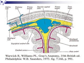 CSF formation & circulation | PPT