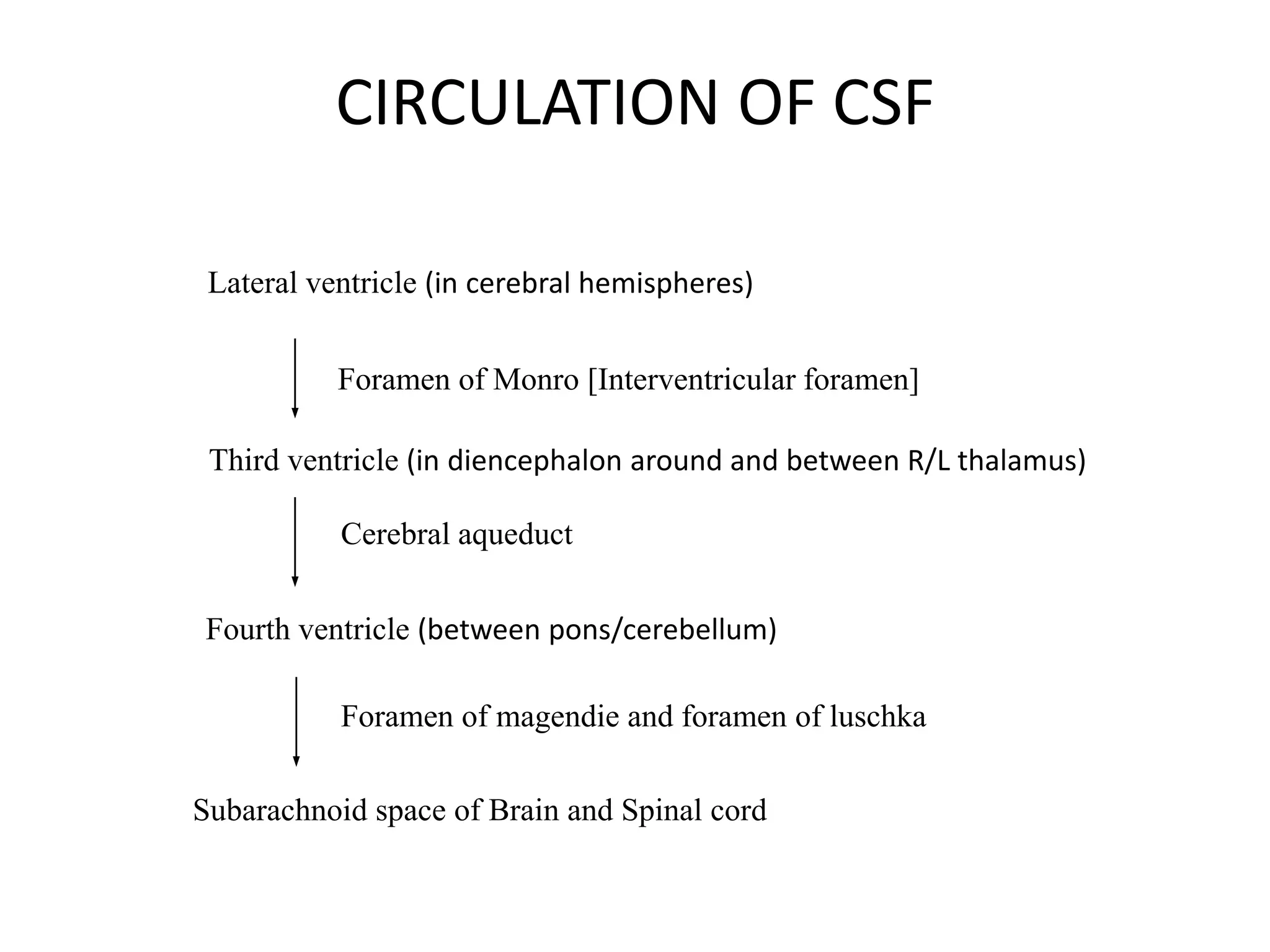 Cerebrospinal fluid and blood brain barrier | PPTX