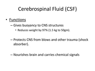 Cerebrospinal fluid and blood brain barrier | PPTX