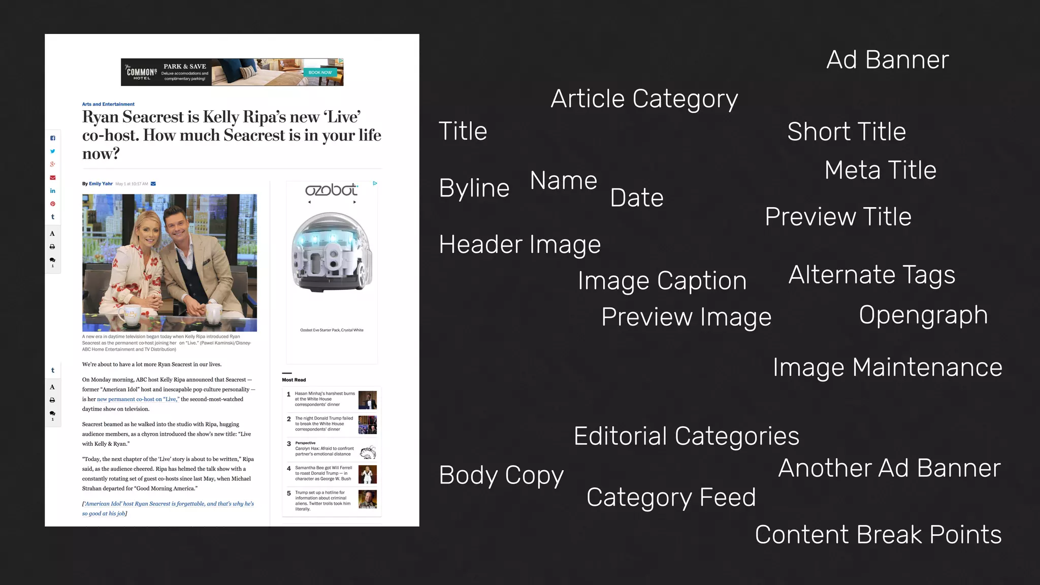 Article Category
Ad Banner
Title Short Title
Meta Title
Preview Title
Header Image
Preview Image
Image Caption
Image Maintenance
Body Copy
Category Feed
Content Break Points
Alternate Tags
Opengraph
Another Ad Banner
Editorial Categories
Byline Name
Date
 