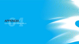 04

APPENDIX

SapientNitro content strategy lifecycle

 
