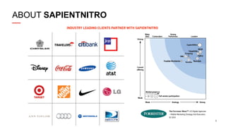 ABOUT SAPIENTNITRO

5

 