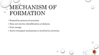  Formed by process of secretion.
 Does not involve ultrafiltration or dialysis.
 Uses energy.
 Active transport mechanism is involved in secretion.
 