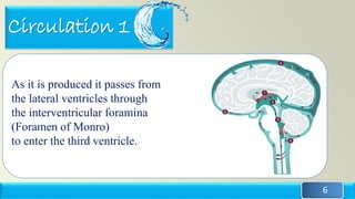 Cerebrospinal fluid (CSF) production, circulation and absorption | PDF