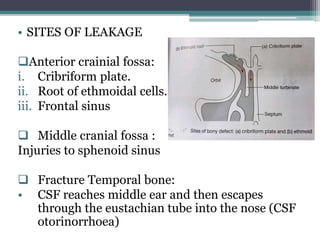 • SITES OF LEAKAGE
Anterior crainial fossa:
i. Cribriform plate.
ii. Root of ethmoidal cells.
iii. Frontal sinus
 Middle cranial fossa :
Injuries to sphenoid sinus
 Fracture Temporal bone:
• CSF reaches middle ear and then escapes
through the eustachian tube into the nose (CSF
otorinorrhoea)
 