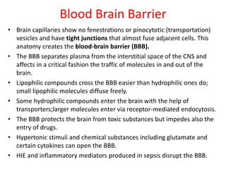Blood Brain Barrier
• Brain capillaries show no fenestrations or pinocytotic (transportation)
vesicles and have tight junctions that almost fuse adjacent cells. This
anatomy creates the blood-brain barrier (BBB).
• The BBB separates plasma from the interstitial space of the CNS and
affects in a critical fashion the traffic of molecules in and out of the
brain.
• Lipophilic compounds cross the BBB easier than hydrophilic ones do;
small lipophilic molecules diffuse freely.
• Some hydrophilic compounds enter the brain with the help of
transporters;larger molecules enter via receptor-mediated endocytosis.
• The BBB protects the brain from toxic substances but impedes also the
entry of drugs.
• Hypertonic stimuli and chemical substances including glutamate and
certain cytokines can open the BBB.
• HIE and inflammatory mediators produced in sepsis disrupt the BBB.
 