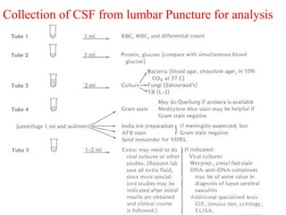 Collection of CSF from lumbar Puncture for analysis
 